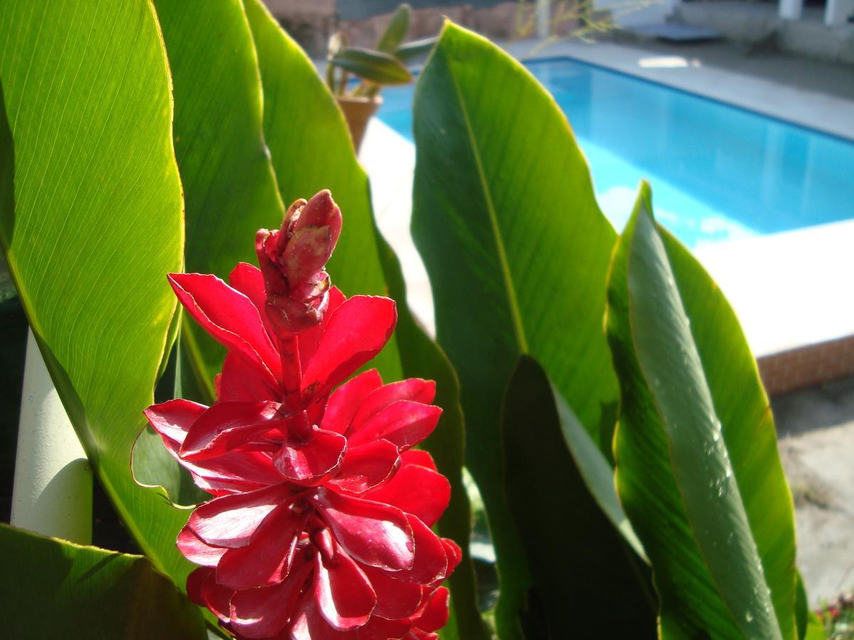 Manga Rosa- Arraial